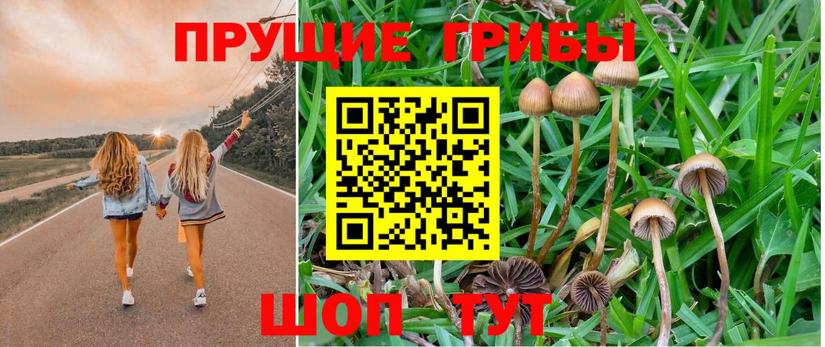 Псилоцибиновые грибы Psilocybe  Вход с VPN  Светлоград 